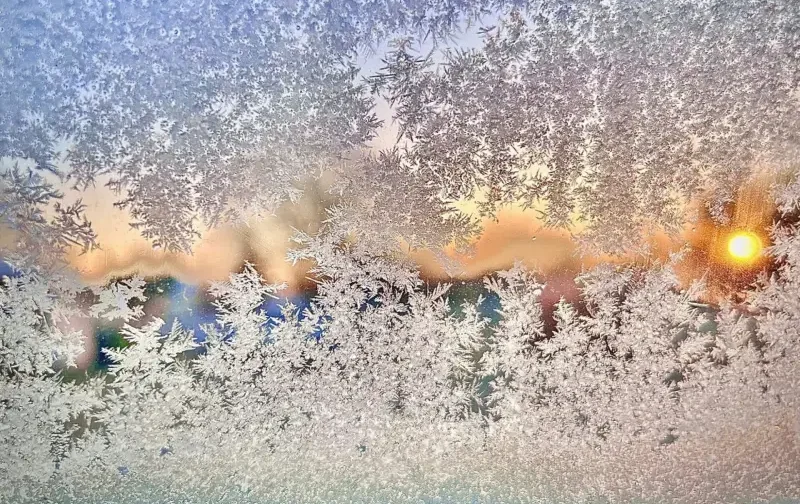 Frosted window with intricate ice patterns, revealing a soft, colorful sunrise in the background. The scene conveys a serene, chilly morning.