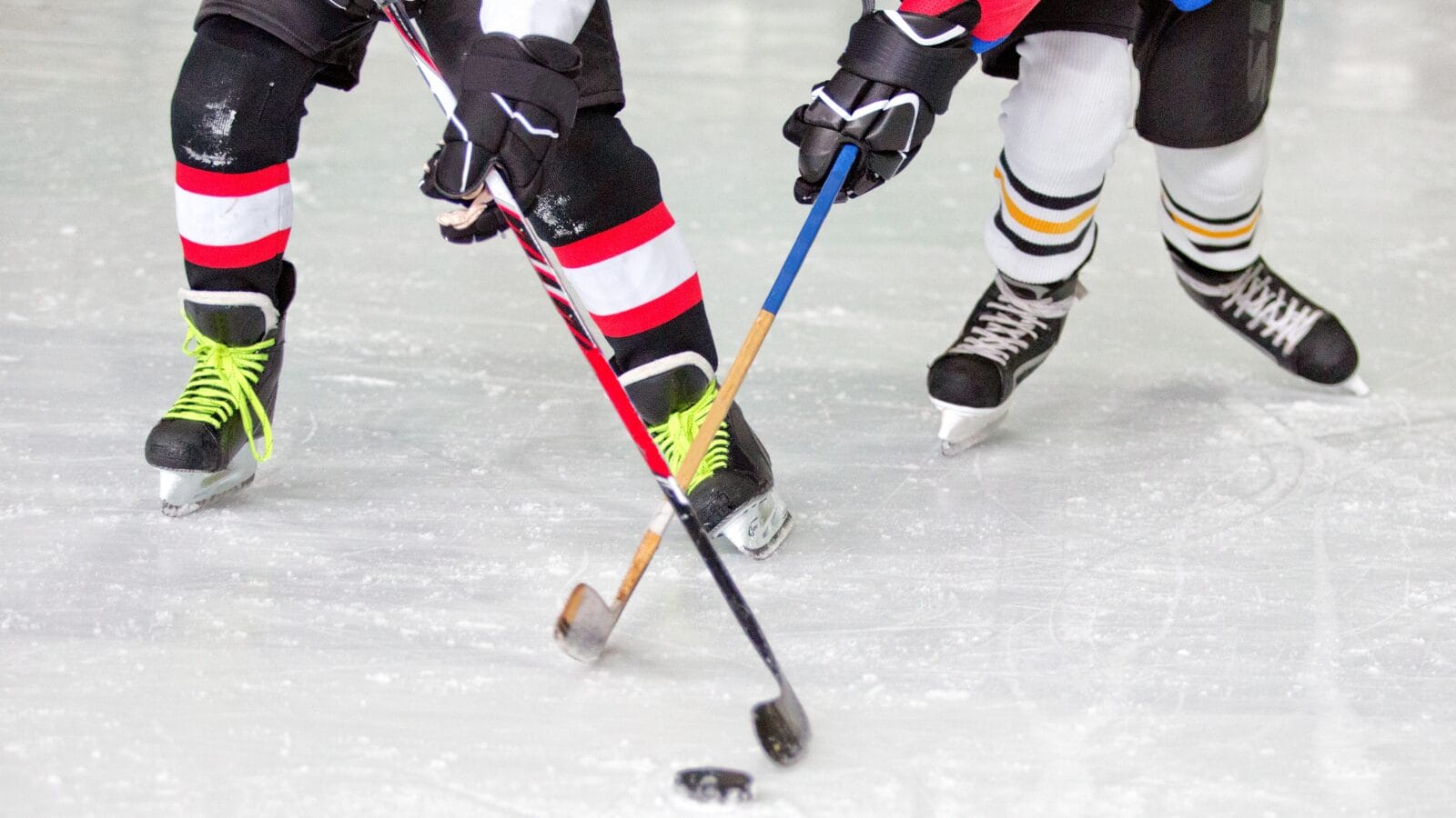 hockey players