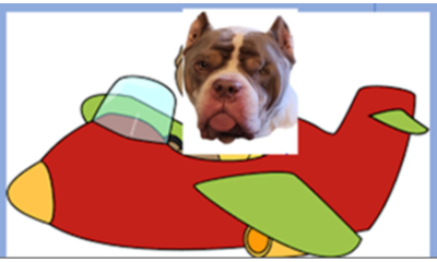 This or That Adventure 3-5