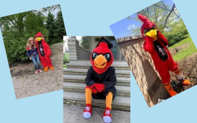 A collage of three images featuring a person in a large red bird mascot costume. The first image shows the mascot standing on a gravel path next to someone. The second image depicts the mascot sitting on outdoor steps. The third image shows the mascot posing near a stone wall in a grassy area